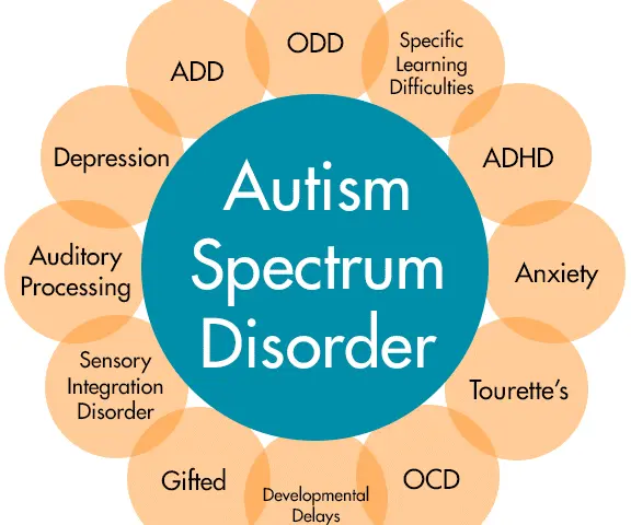 Best Shadow Teachers , Special Education Tutors in Pune , Find Shadow Teacher , Need Special Educator or Shadow Teacher , Special Education for Special needs tutors in Pune , Shadow teacher required in pune , Pune Shadow Teacher